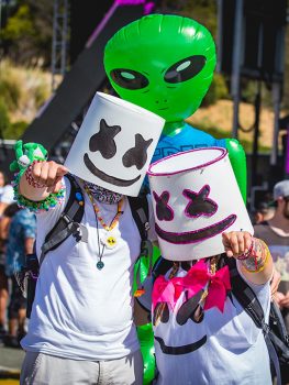Two Headliners in Marshmello masks