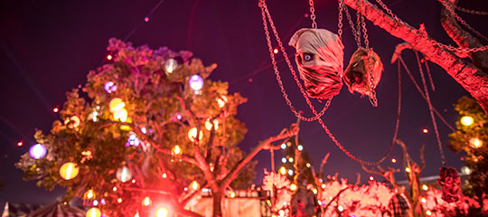 A severed head hanging from a tree