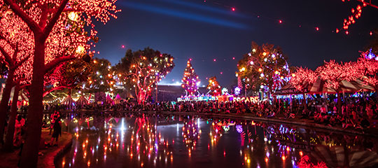 Lights reflecting on the pond
