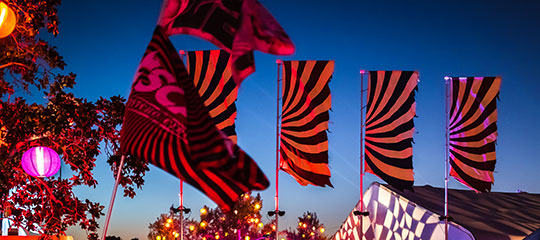 Flags at dusk