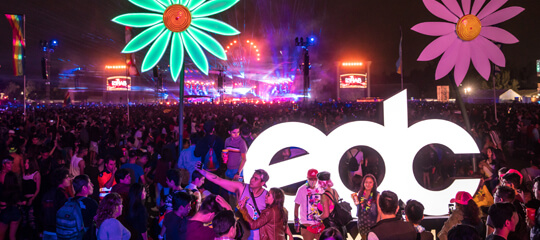 EDC Mexico sign with neon flowers