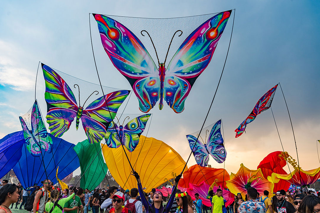 Butterfly puppets above the crowd
