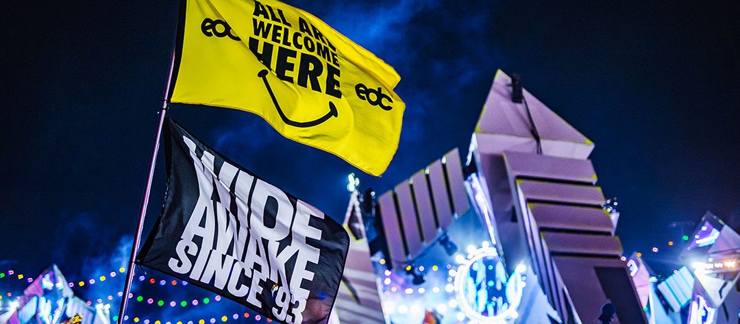 Insomniac flags over the crowd