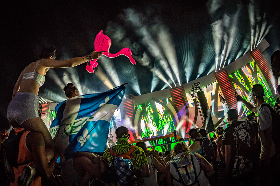Flags and totems over the crowd