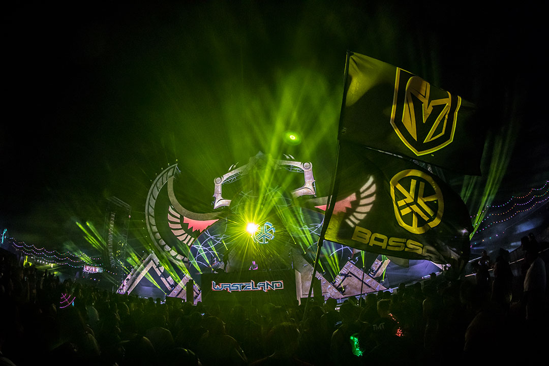 Flags over the crowd