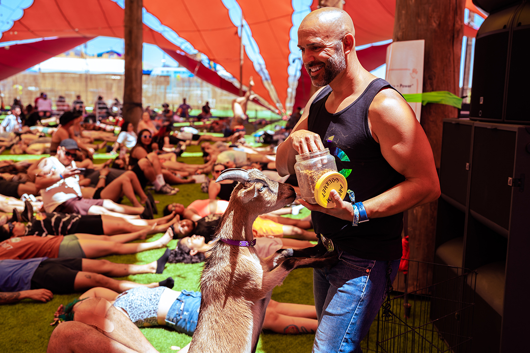 Goat Yoga