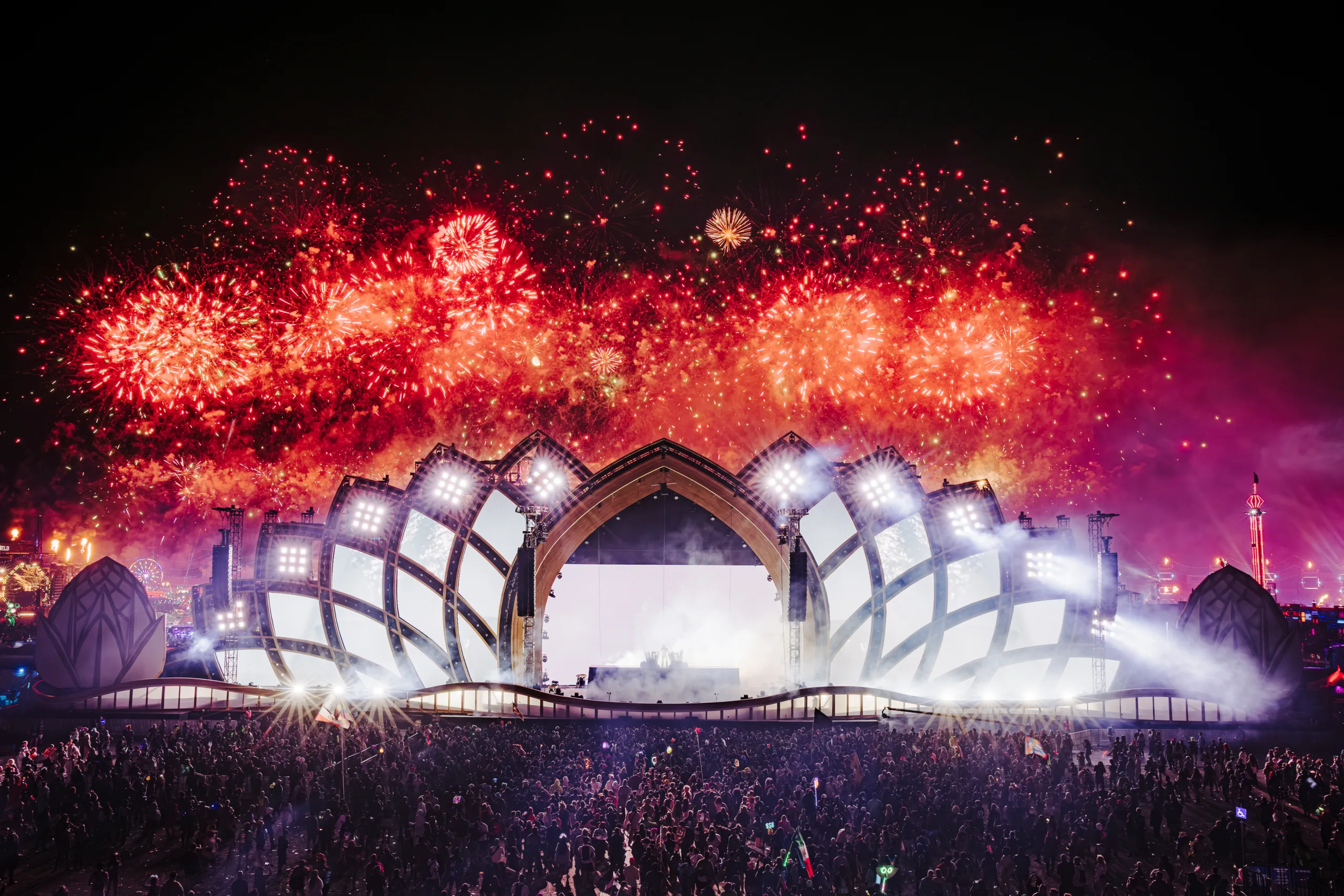 cosmic meadow