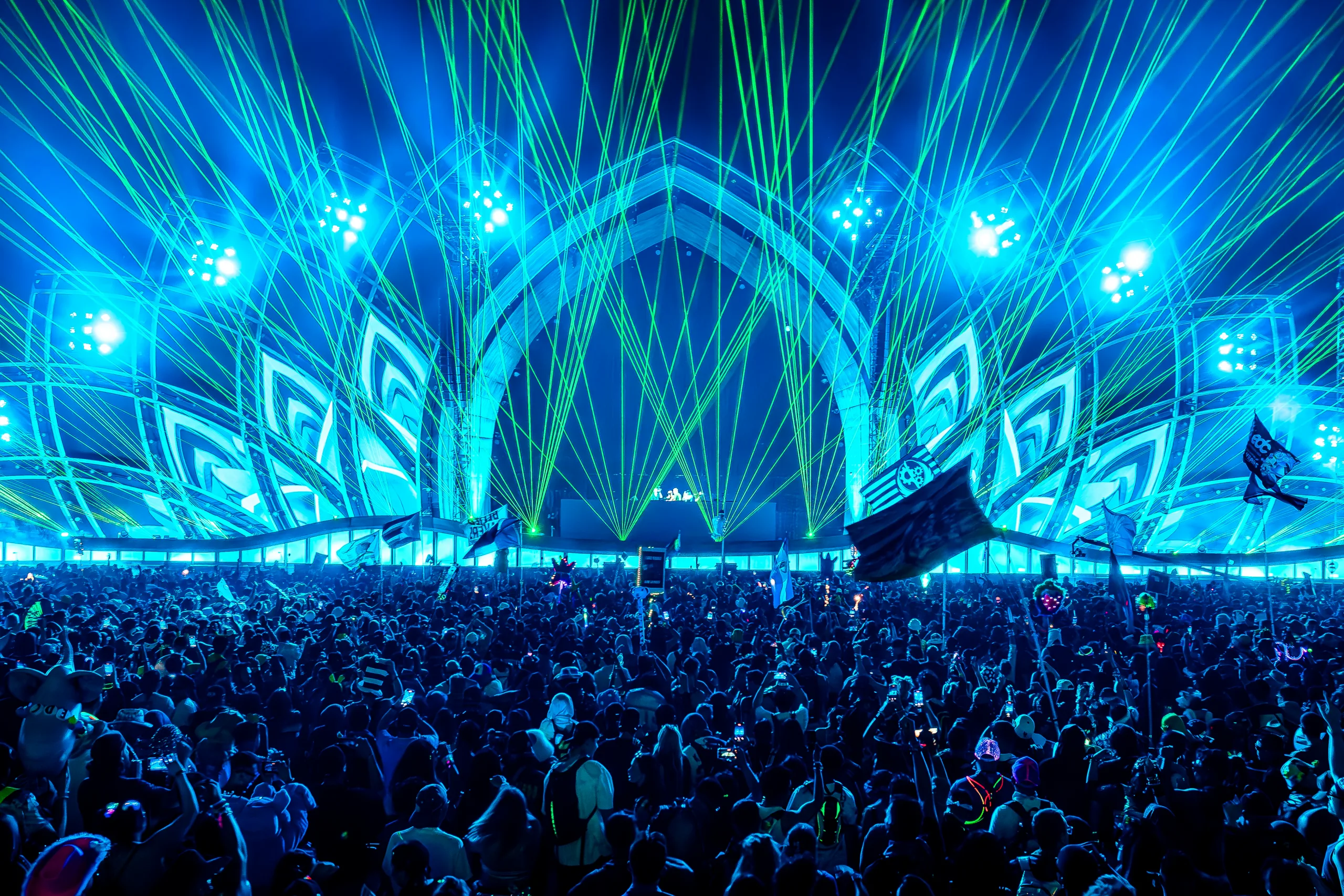 cosmic meadow