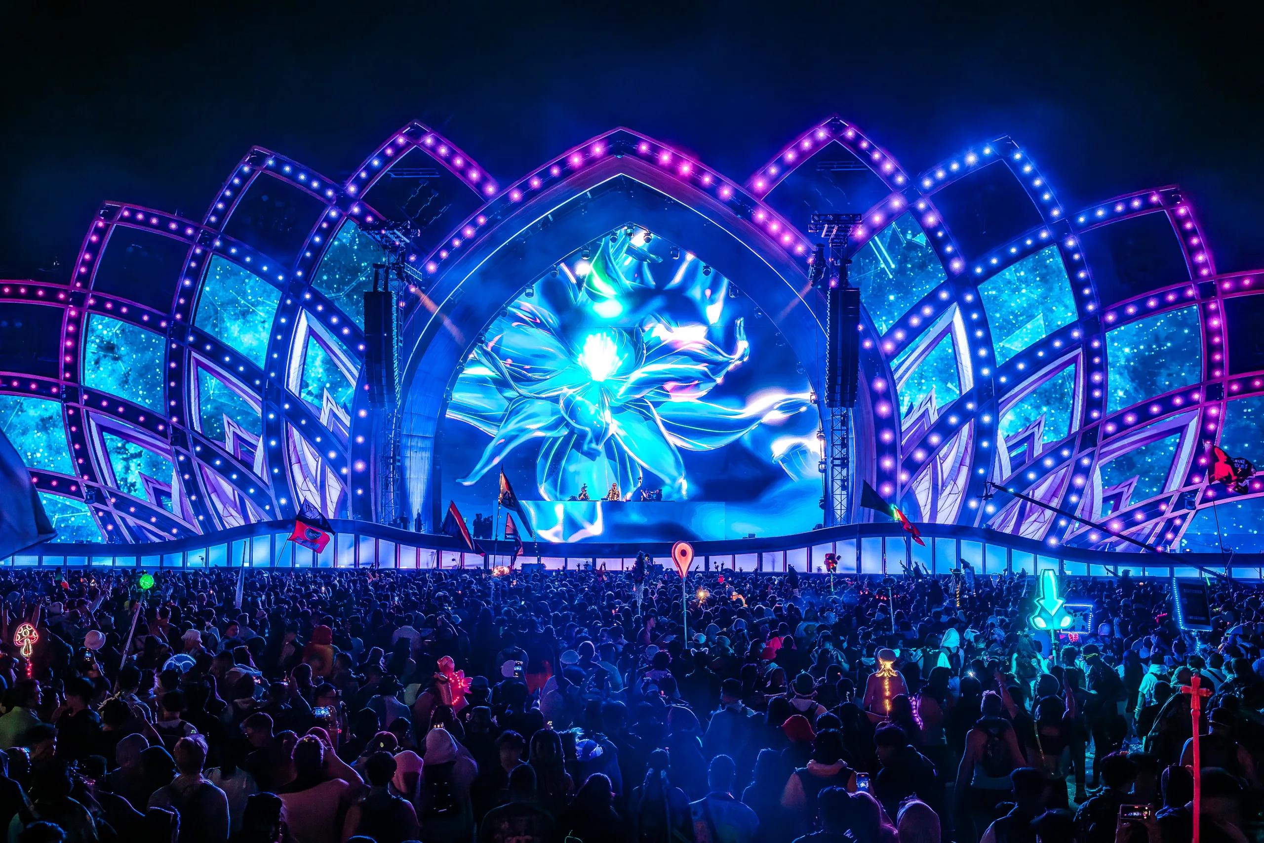 cosmic meadow