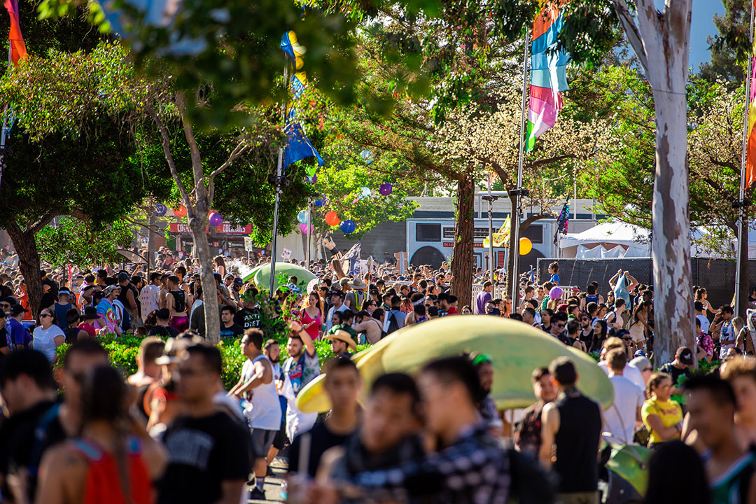 A crowd of fans