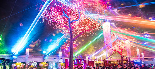 Glowing lights and trees