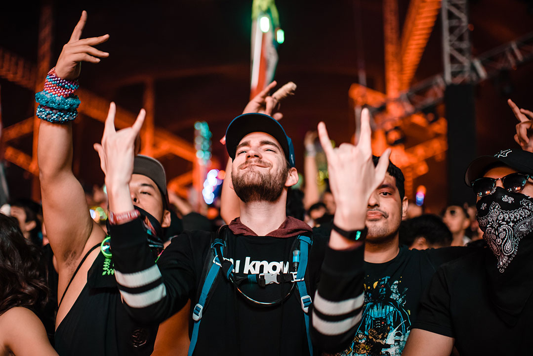 Fans in the front row