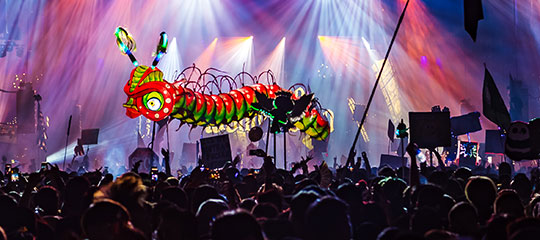 Caterpillar puppet over the crowd