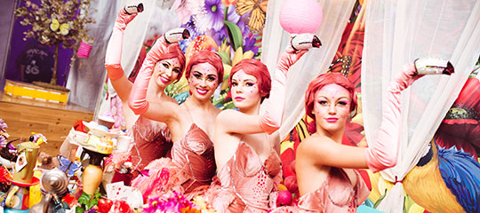 Flamingo-inspired performers