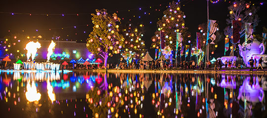 Lit trees reflected on water
