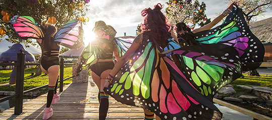 Women in butterfly wings