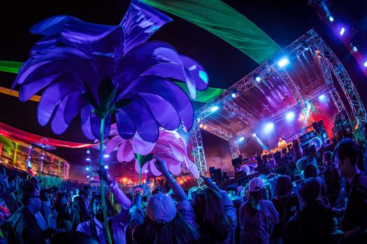 Giant flowers at circuitGROUNDS