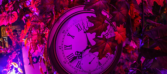 A clock and leaves