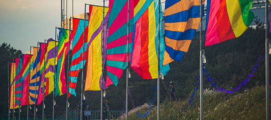 colorful flags