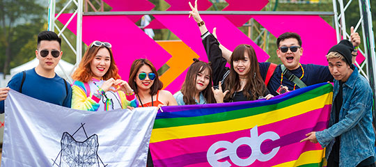 Headliners with flags