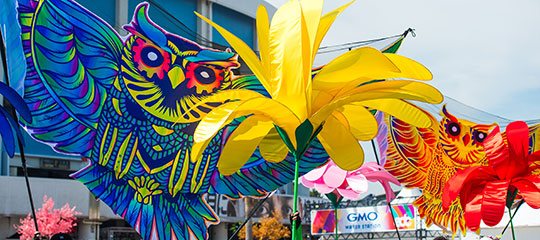 Owls and flowers
