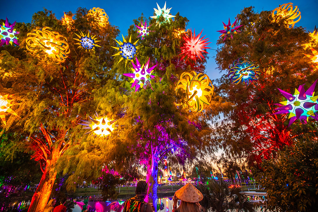 Lit-up trees