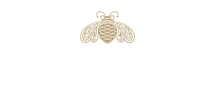 Patrón