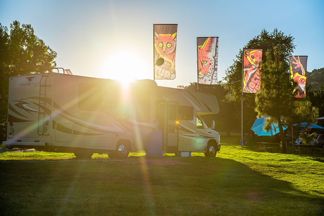 RV