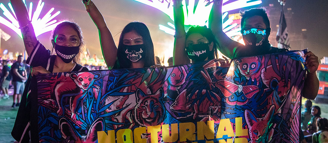 Nocturnal banner