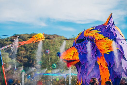 2019 Photo Gallery