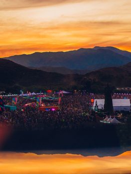 2019 Photo Gallery