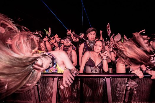 2019 Photo Gallery
