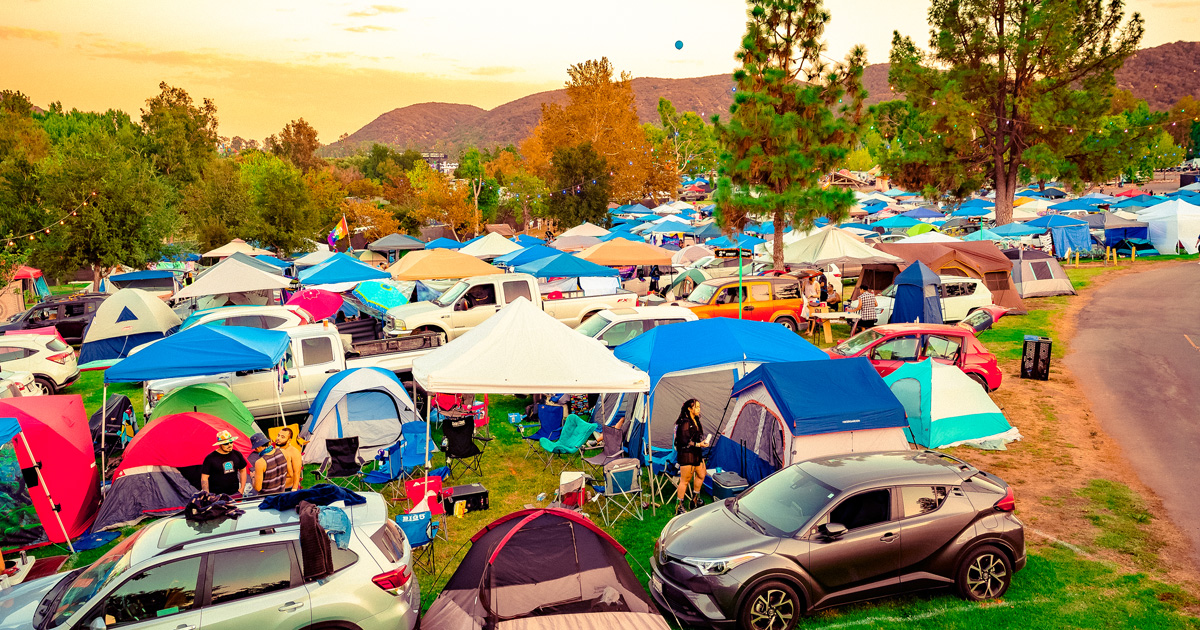 Car Camping Nocturnal Wonderland 2024