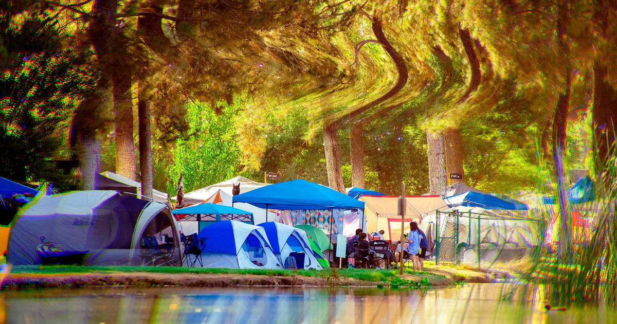 Lakeside Camping Nocturnal Wonderland 2024