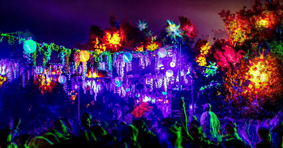 The Nocturnal World Nocturnal Wonderland 2024