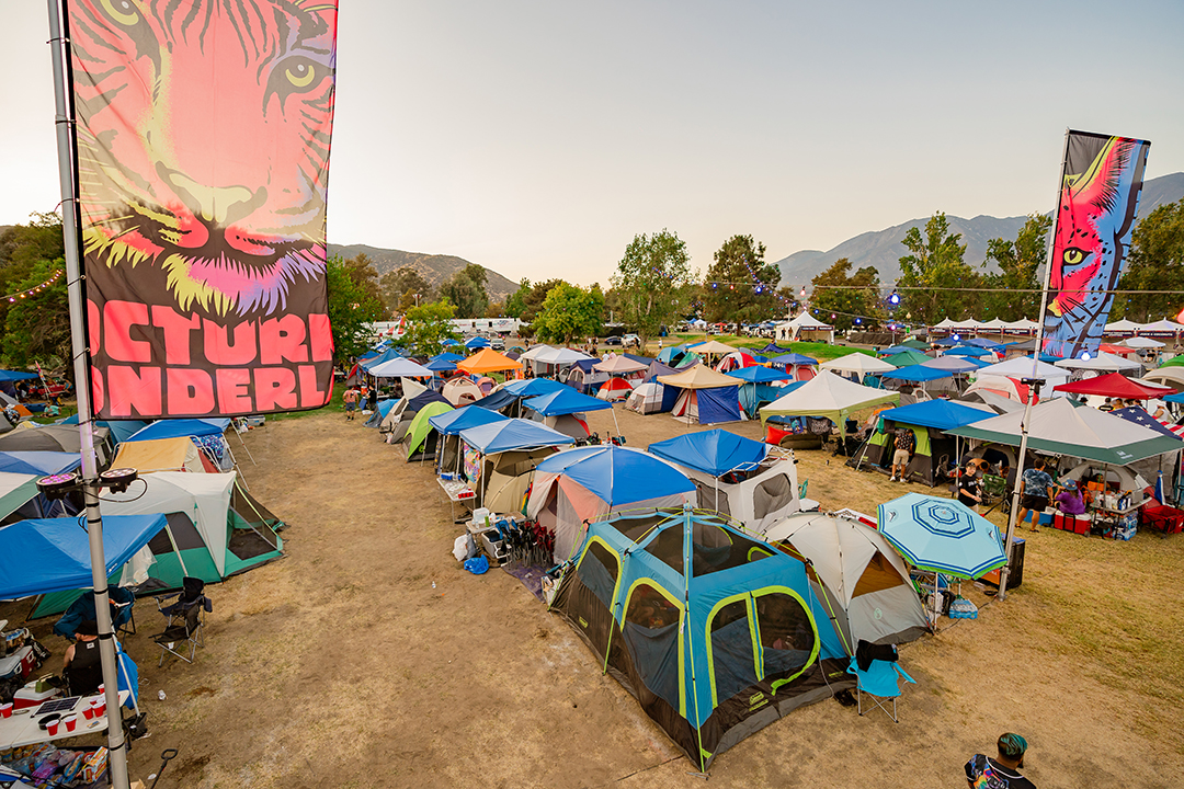 Tent Camping Nocturnal Wonderland 2024