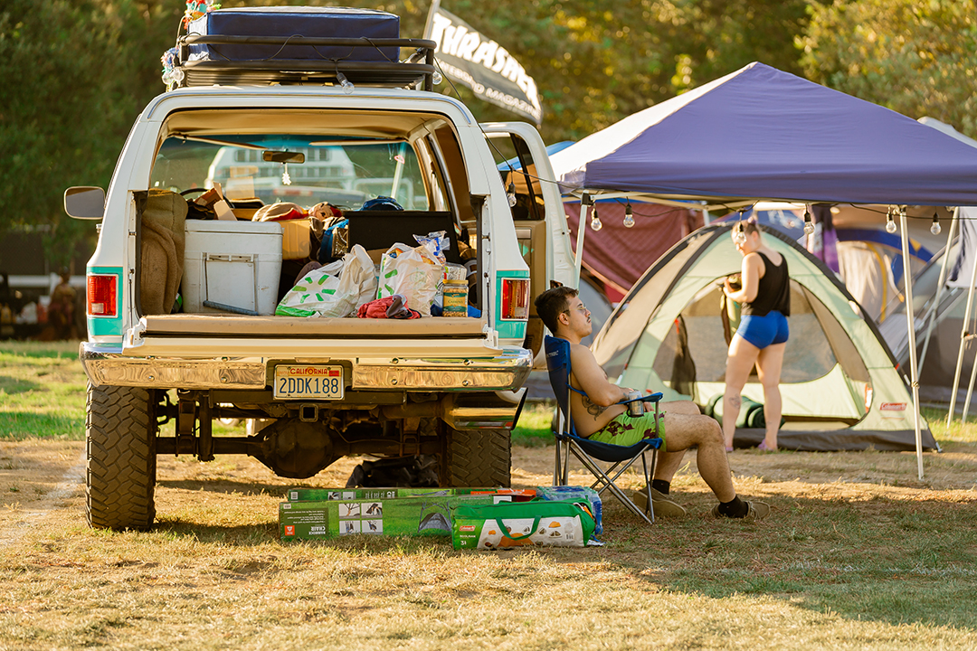 Car Camping Nocturnal Wonderland 2024