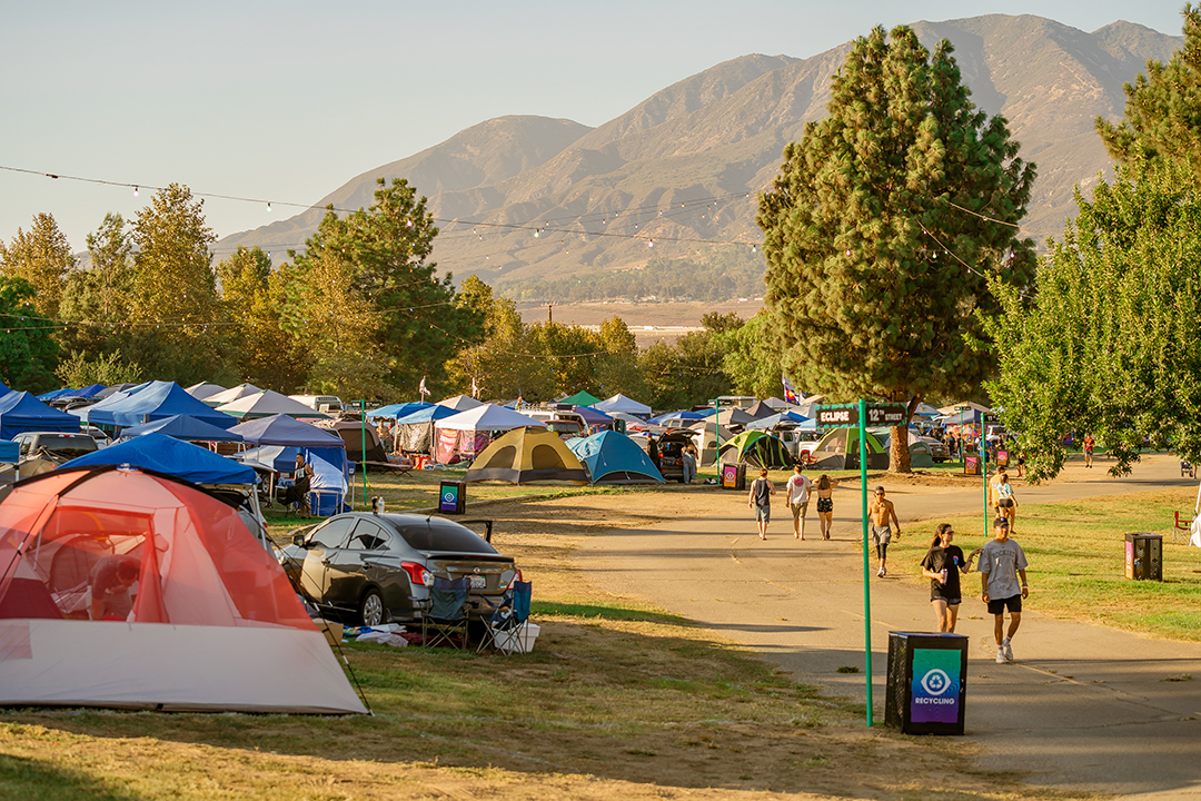 Car Camping Nocturnal Wonderland 2024