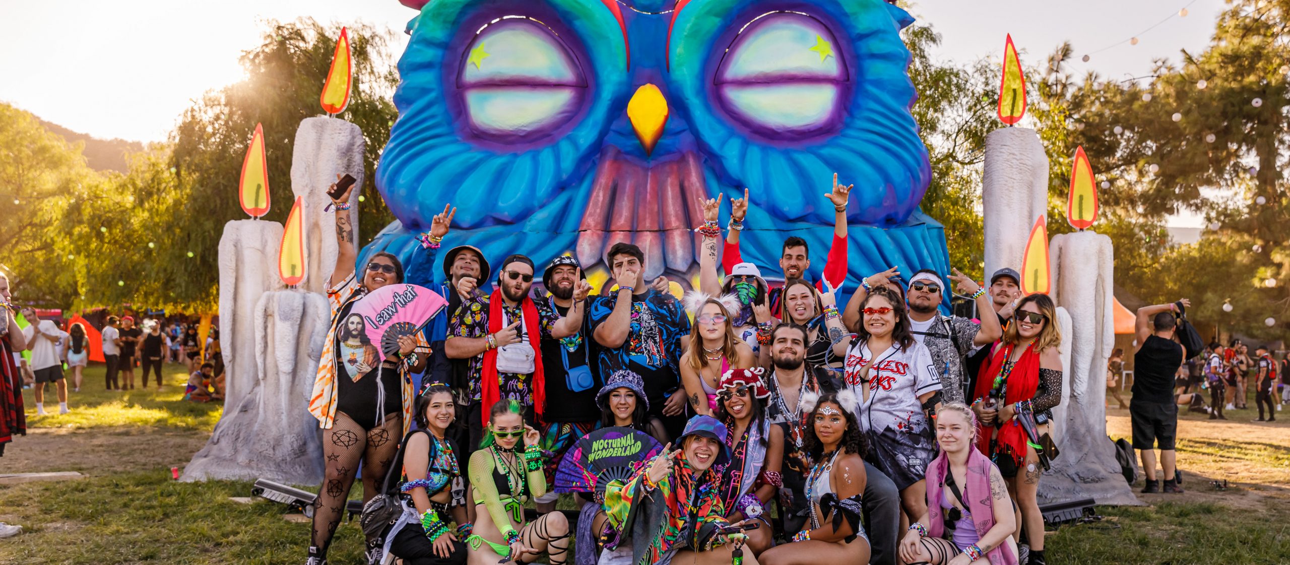 Nocturnal Wonderland