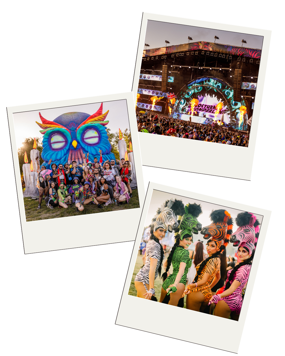 Nocturnal Wonderland Polaroid Tickets #1