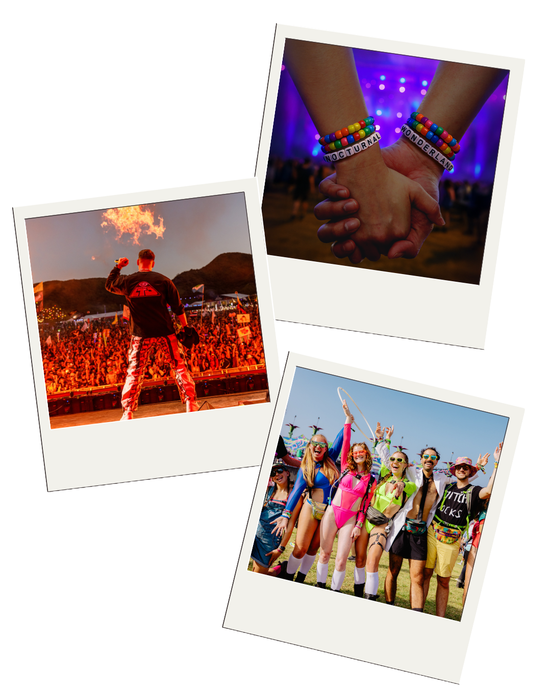 Nocturnal Wonderland Polaroid Camping