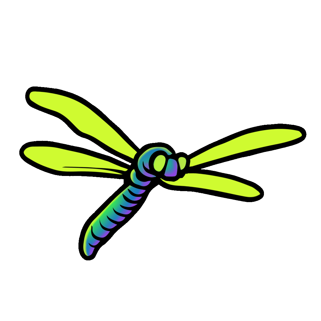 Dragonfly
