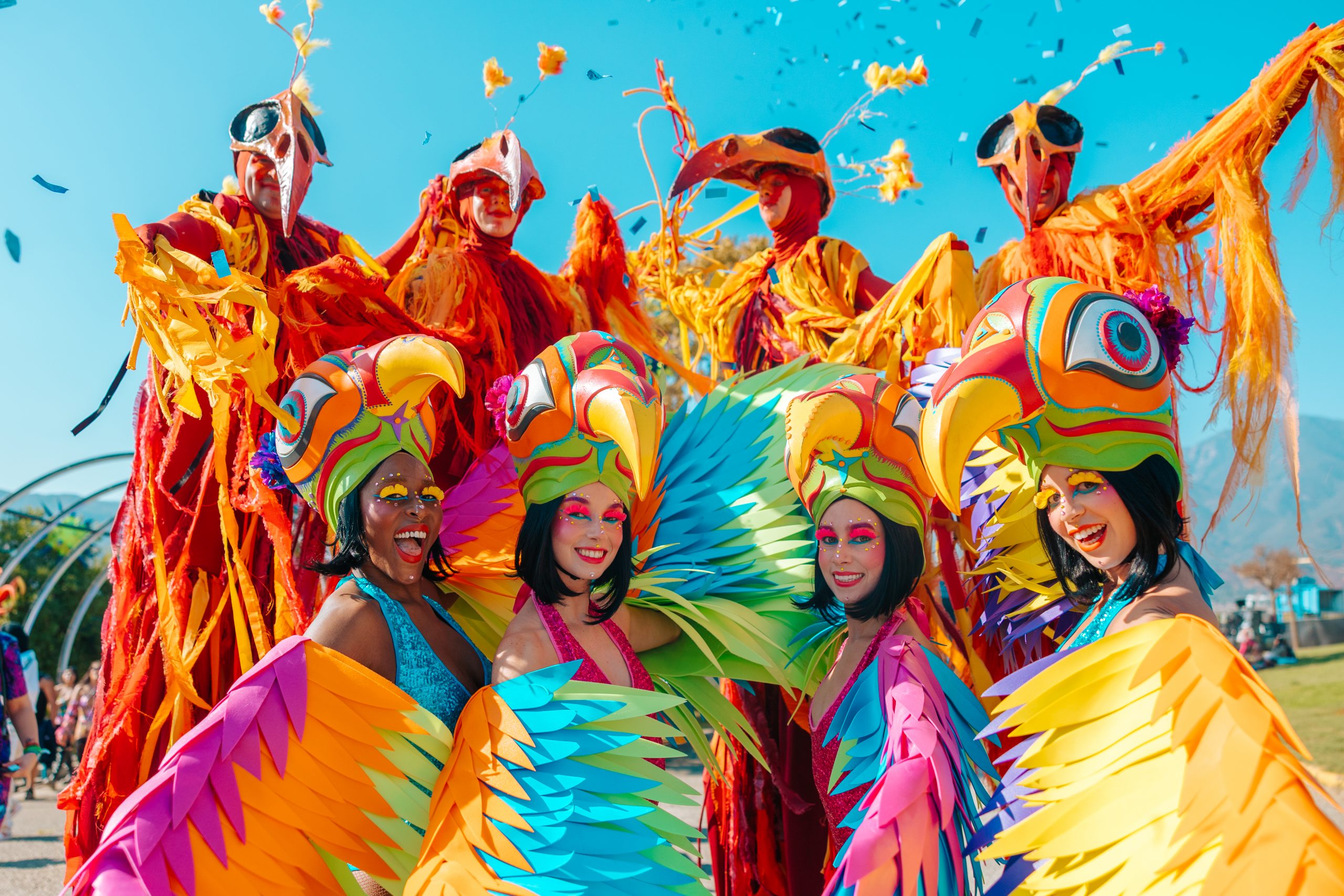 Nocturnal Wonderland