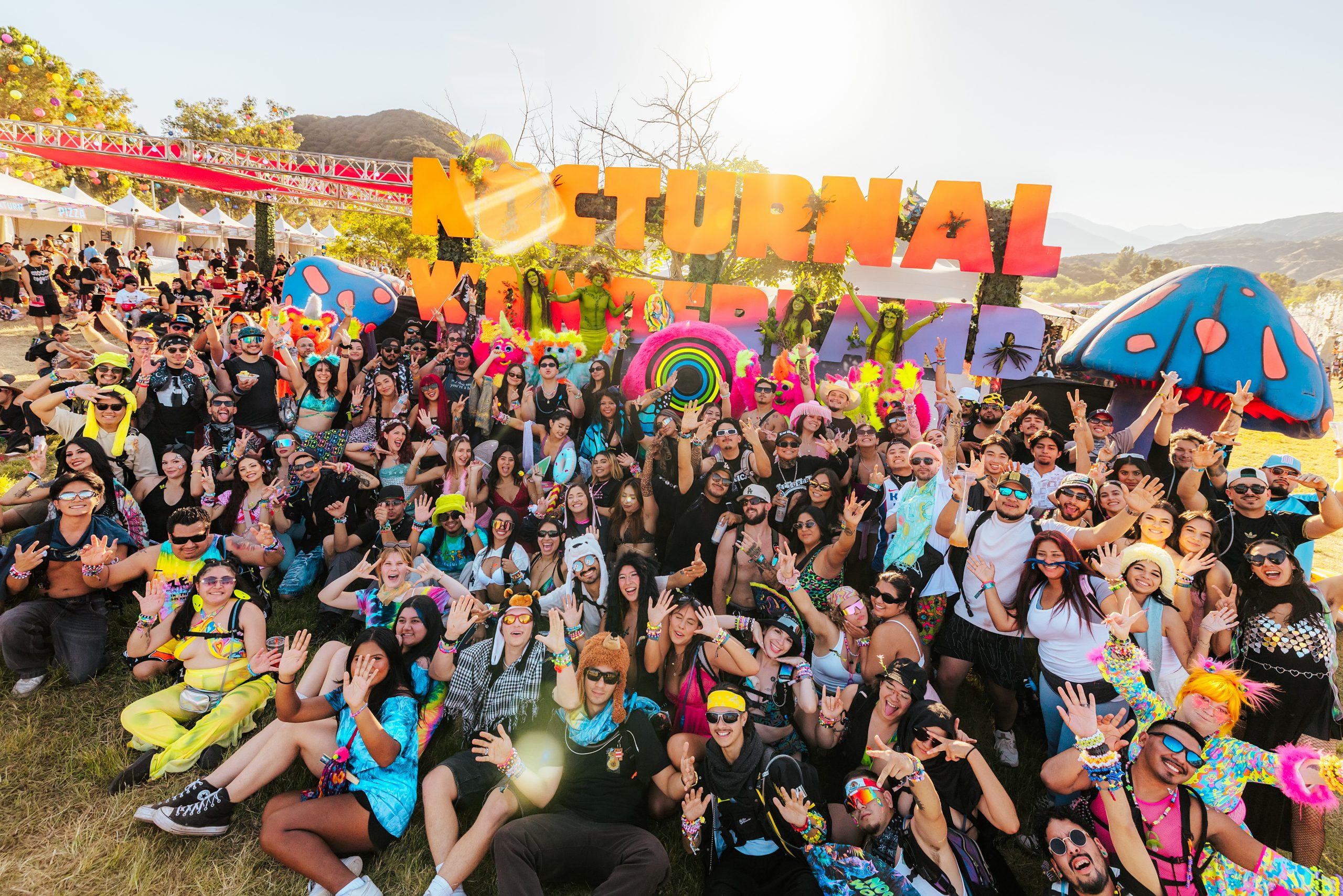 Nocturnal Wonderland