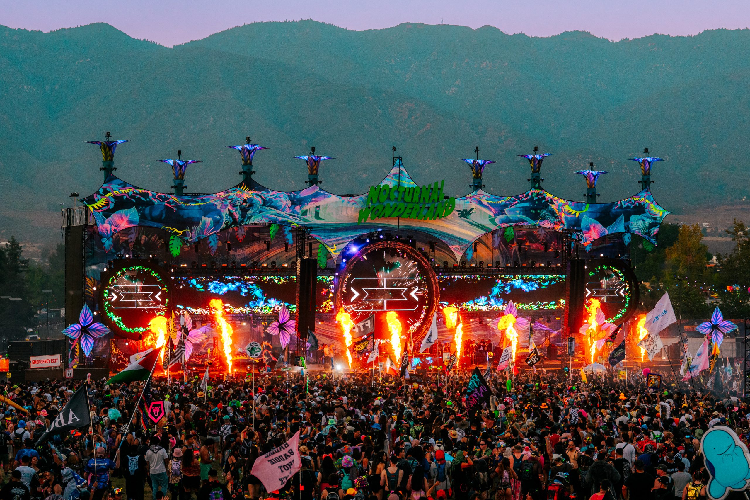 Nocturnal Wonderland