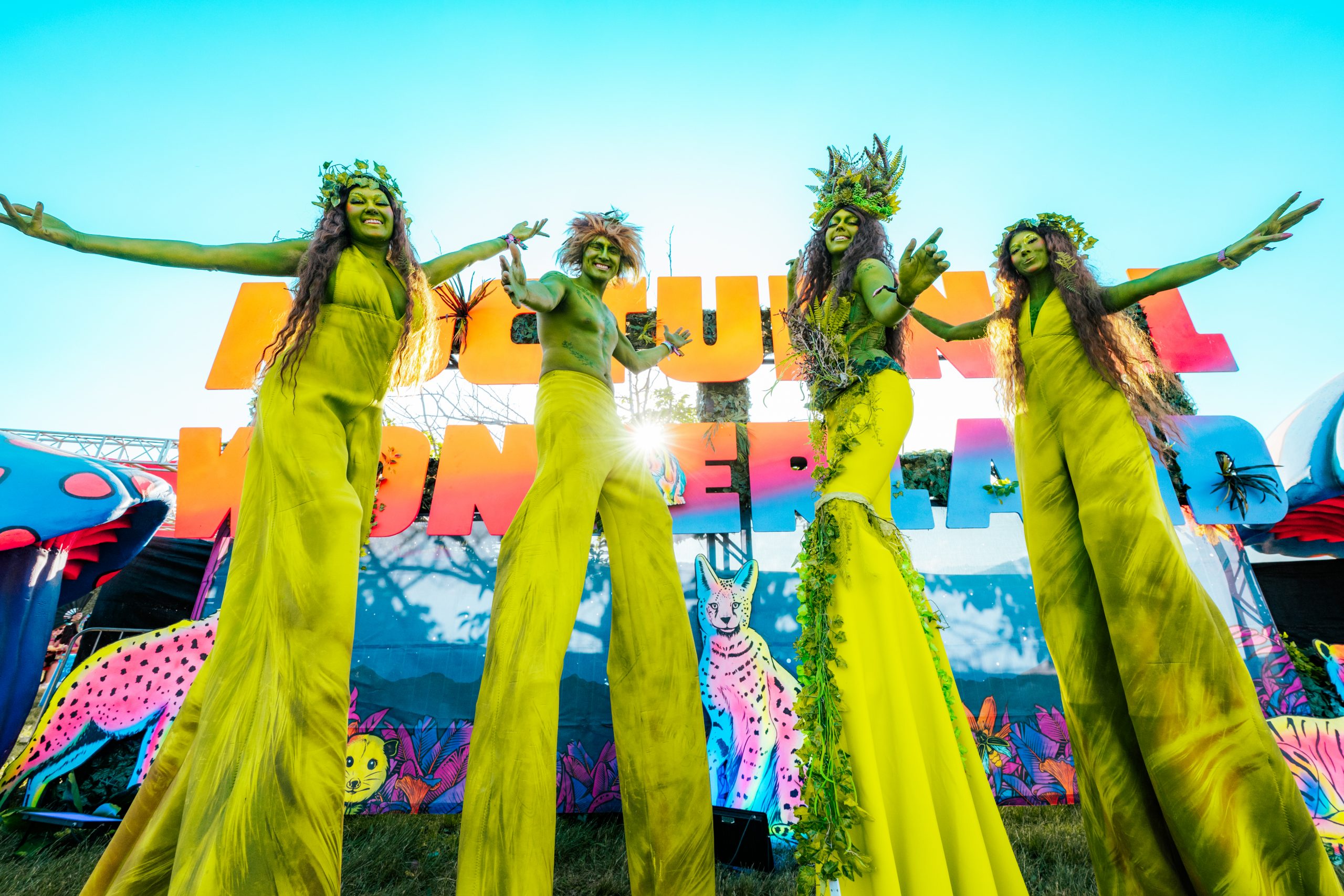 Nocturnal Wonderland