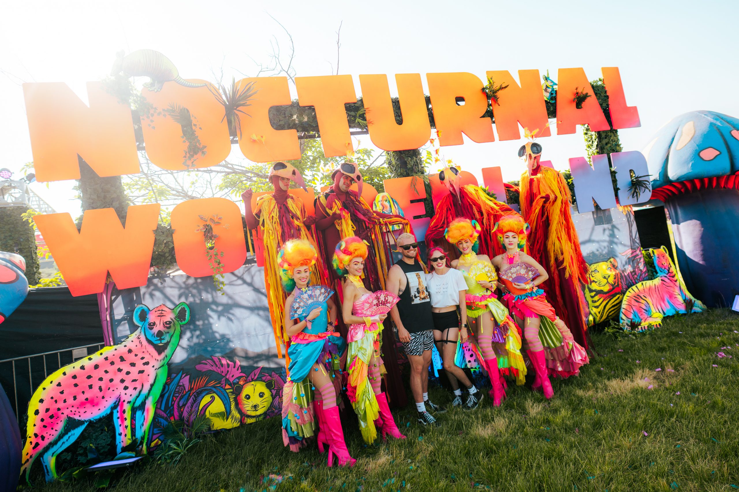 Nocturnal Wonderland