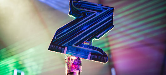 Project Z totem