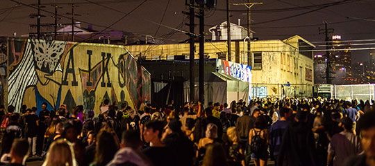 crowd