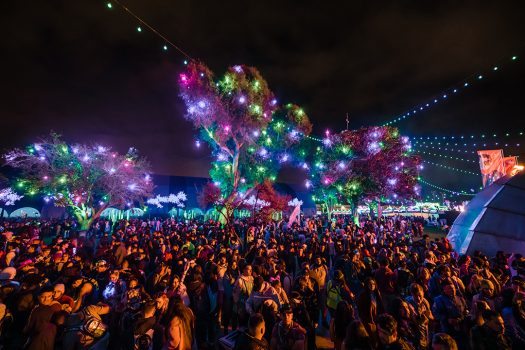 2021 Photo Gallery